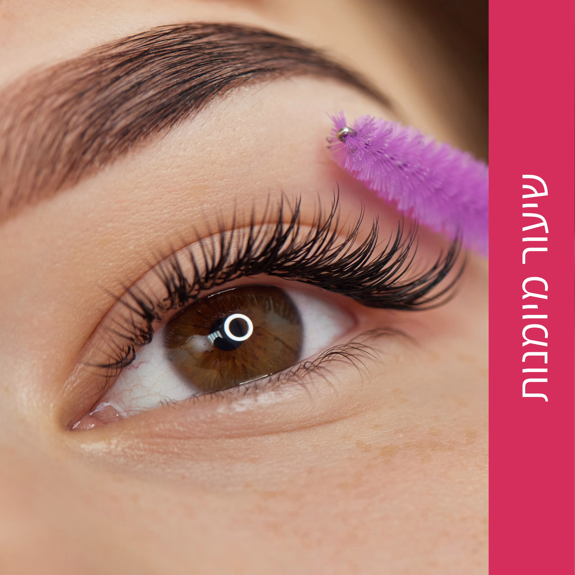 טמפלט השתלמויות